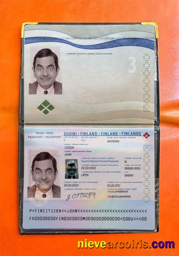 Finland passport photolook